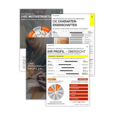 LINC Personality Profiler 4 Seiten